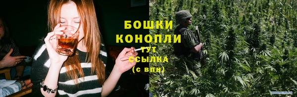 apvp Медногорск