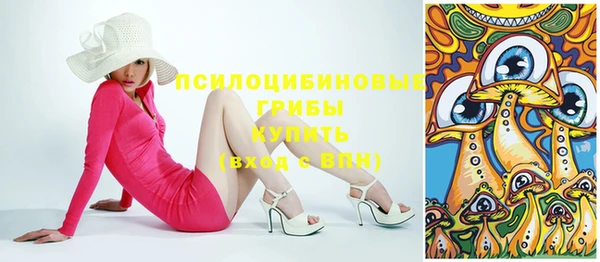 МДПВ Михайлов