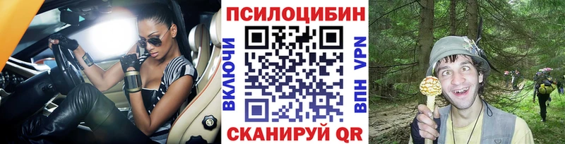Купить закладки  Мглин  Галлюциногенные грибы GOLDEN TEACHER 